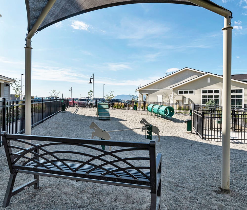 Onsite dog park at The Overlook at Interquest in Colorado Springs, Colorado