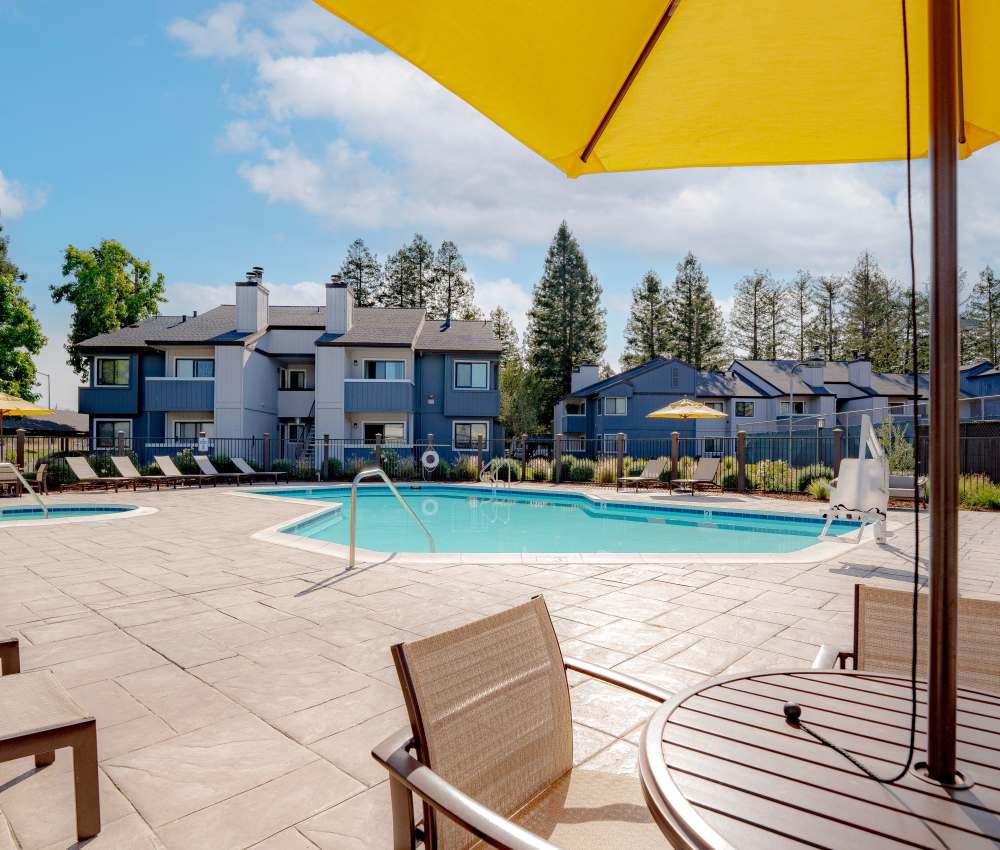 A pool with chairs and umbrellas at Park Ridge Apartment Homes in Rohnert Park, California
