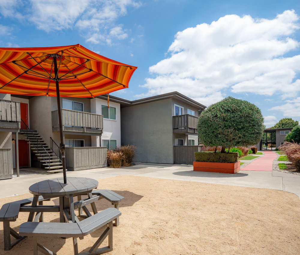 Outdoor common area featuring a picnic table shaded by a colorful umbrella, with two-story apartment buildings in the background and landscaped pathways, set under a bright blue sky at Oliva in San Jose, California.
