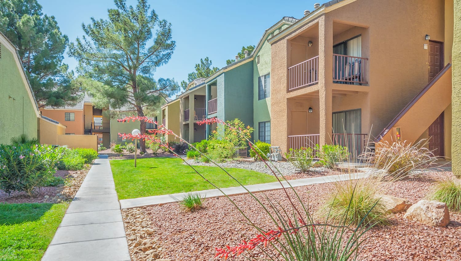 Perfect balance of green grass and desert landscaping throughout our community at Shelter Cove Apartments in Las Vegas, Nevada