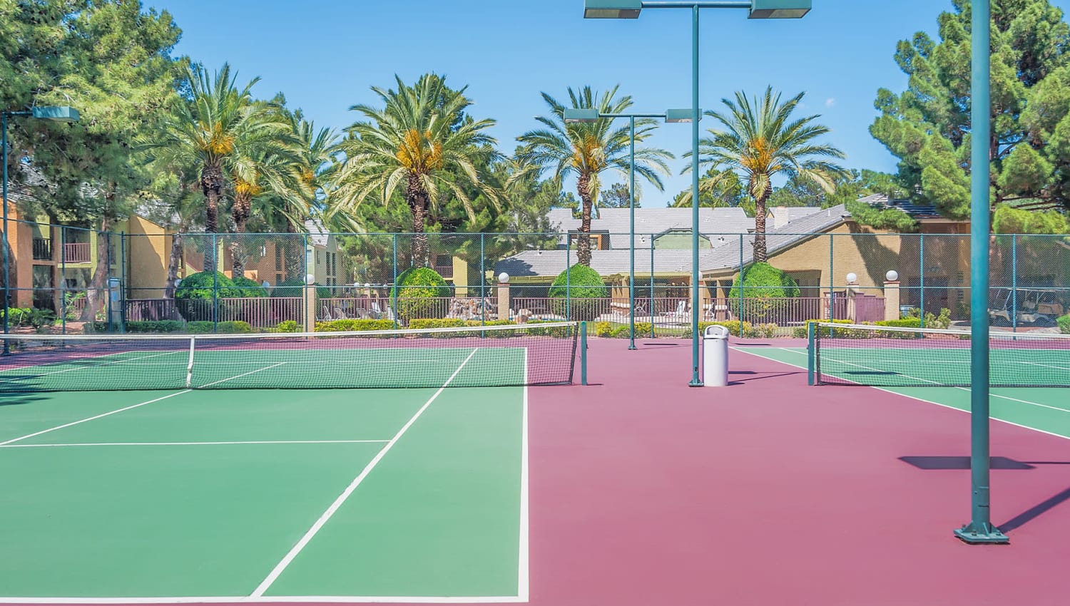 Palm trees around the tennis courts at Shelter Cove Apartments in Las Vegas, Nevada