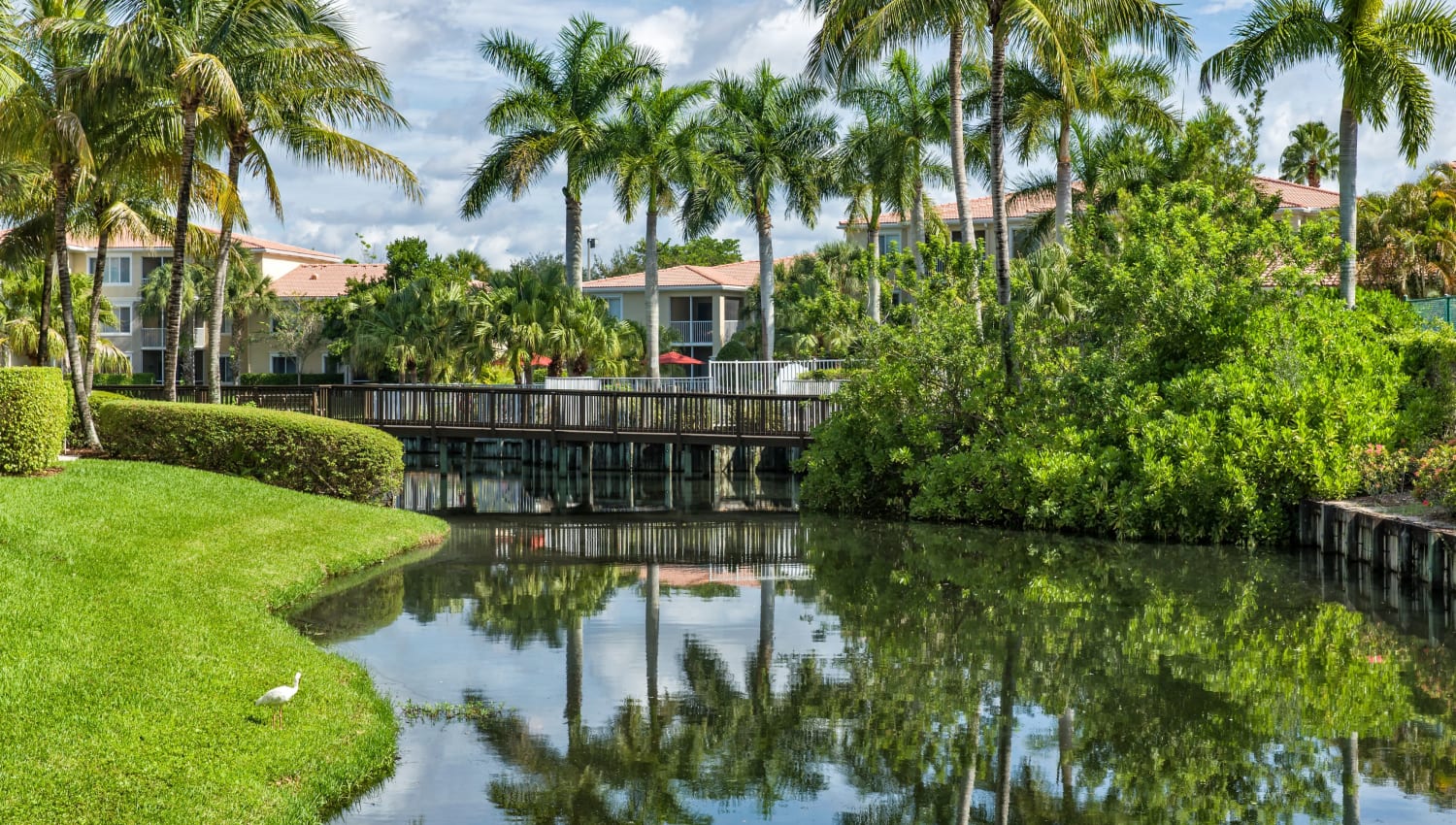 Lake at Ibis Reserve Apartments in West Palm Beach, Florida