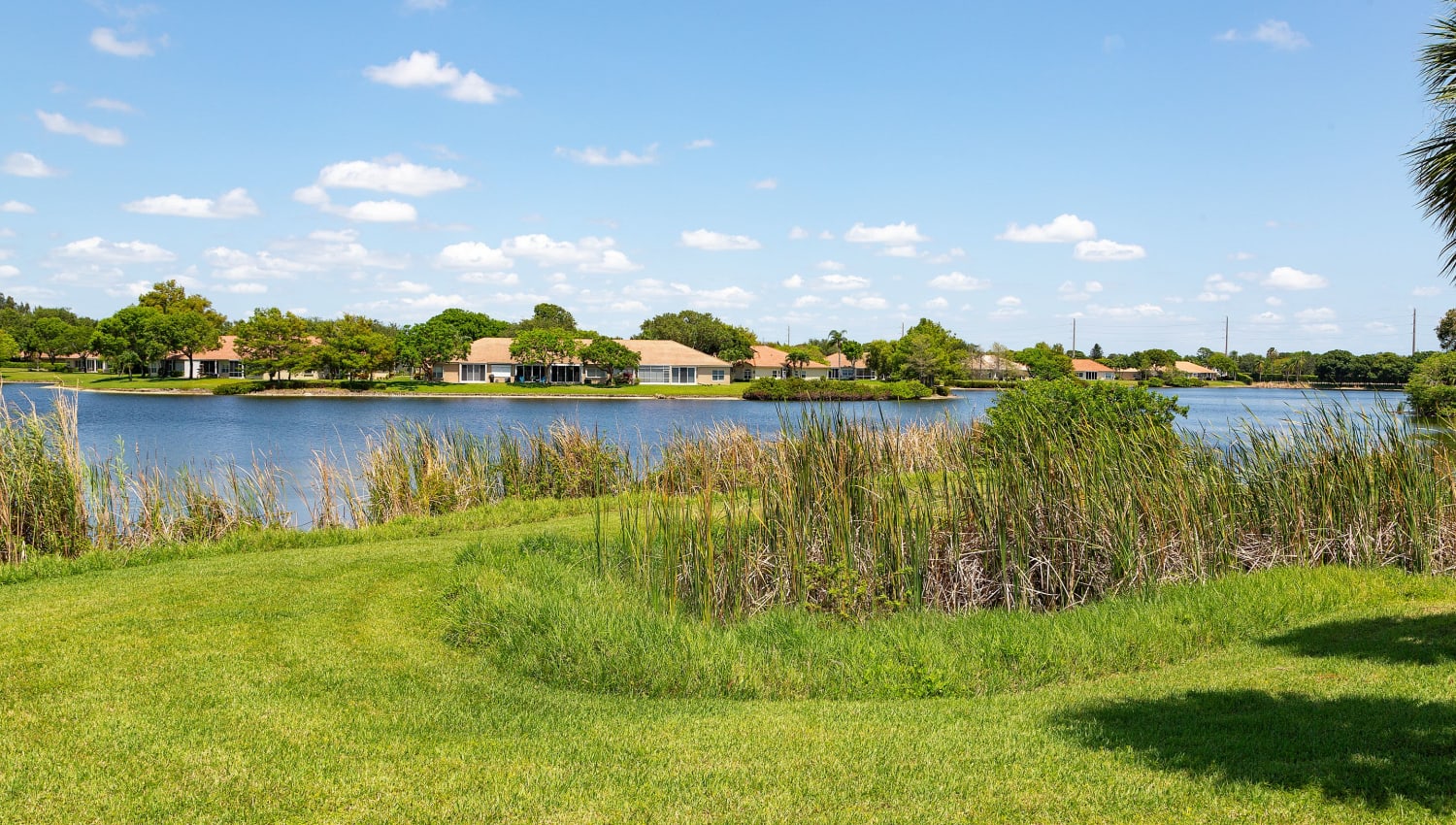 View of lake at Whalers Cove Apartments in Boynton Beach, Florida