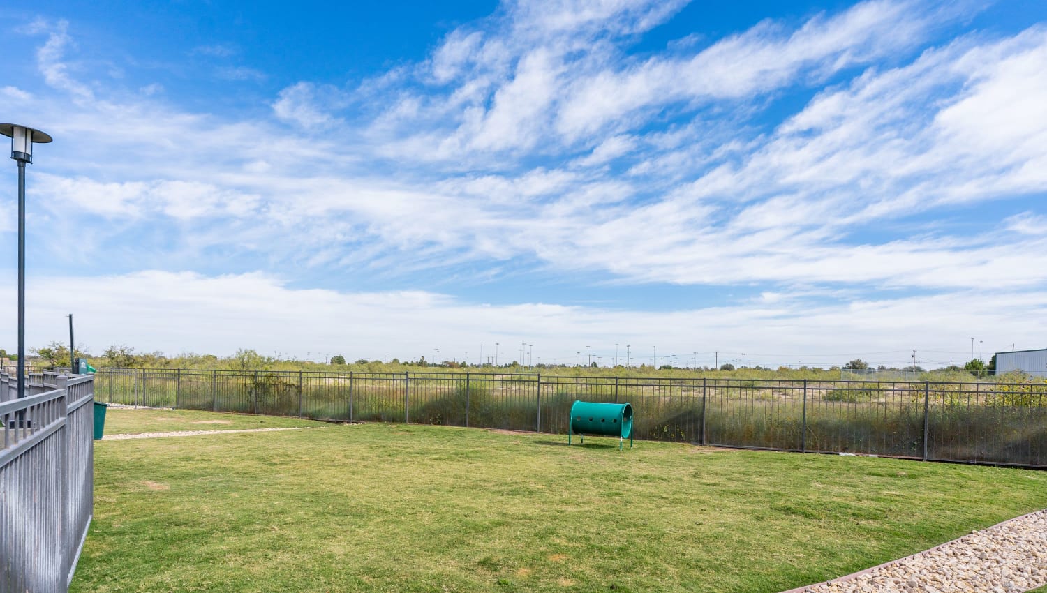 Exterior dog play area at The Everett at Ally Village in Midland, Texas