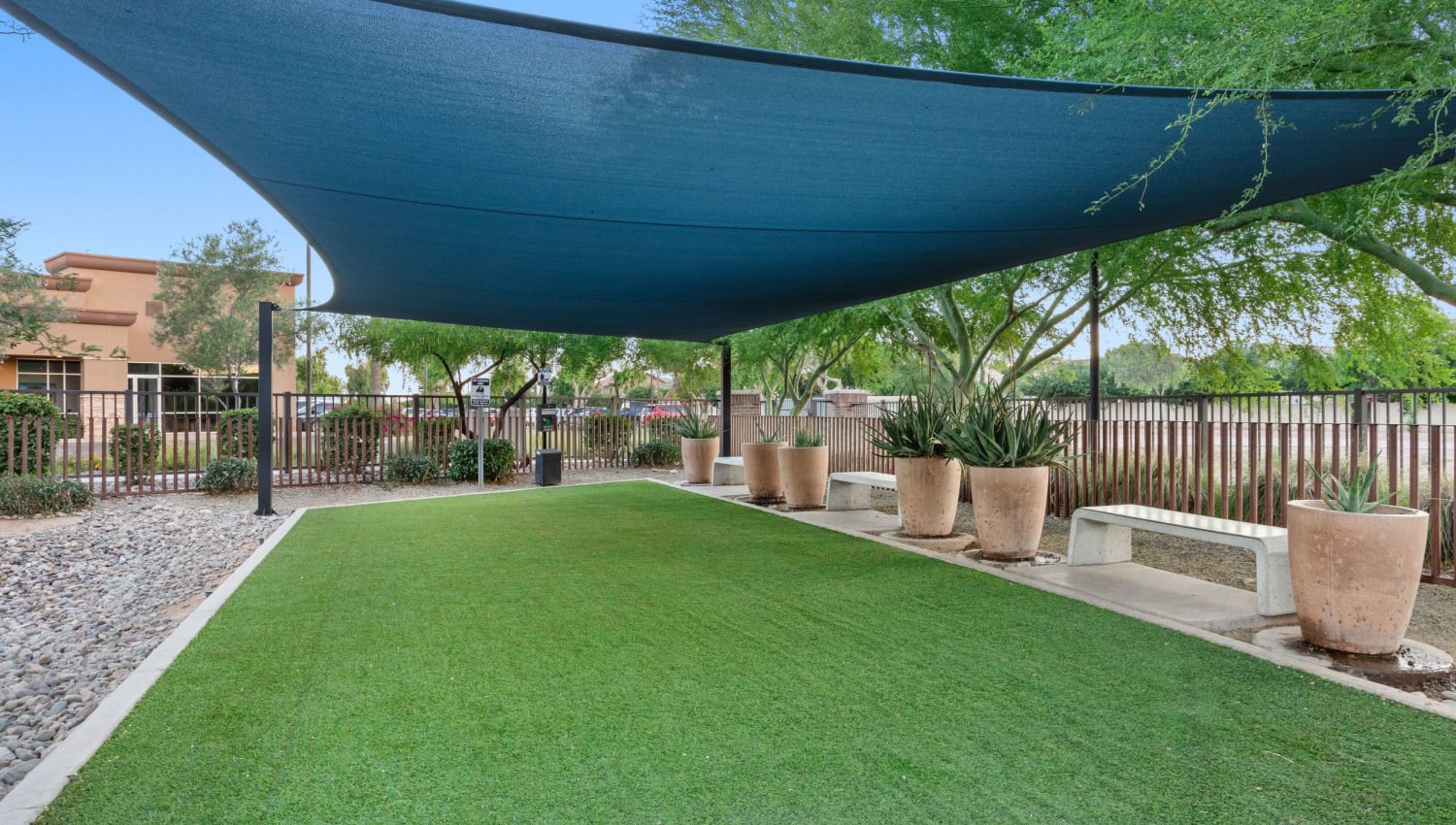 Pet Park area at Town Commons in Gilbert, Arizona