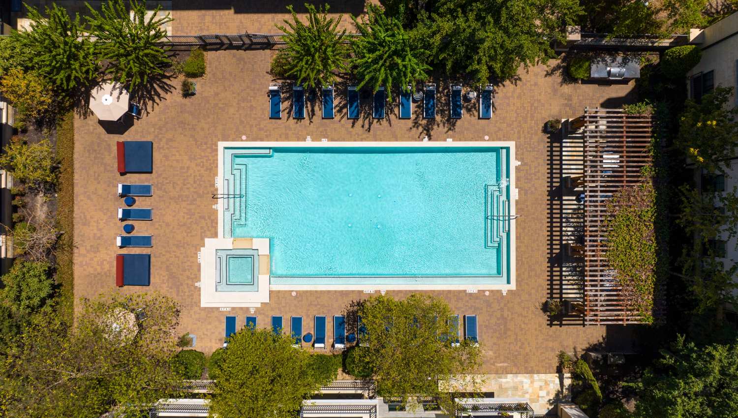 Swimming pool at Olympus at Memorial in Houston, Texas