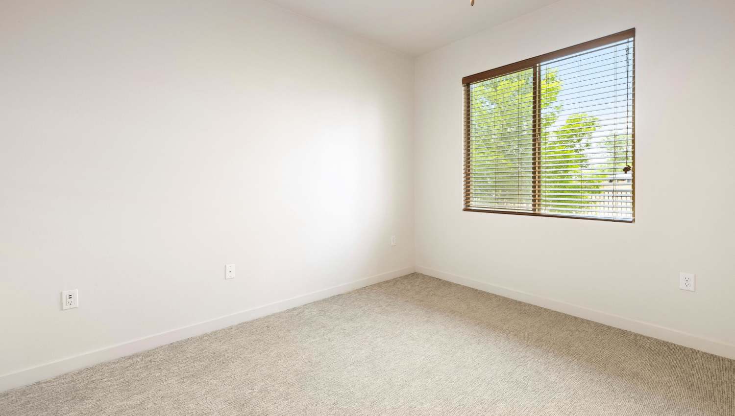 Model unit bedroom with a window and carpet at Olympus Alameda in Albuquerque, New Mexico