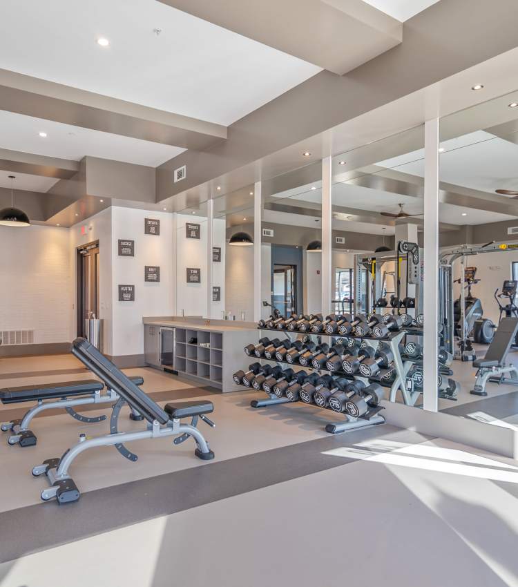 Natural light in the fitness center at 101 Depot in Smyrna, Tennessee