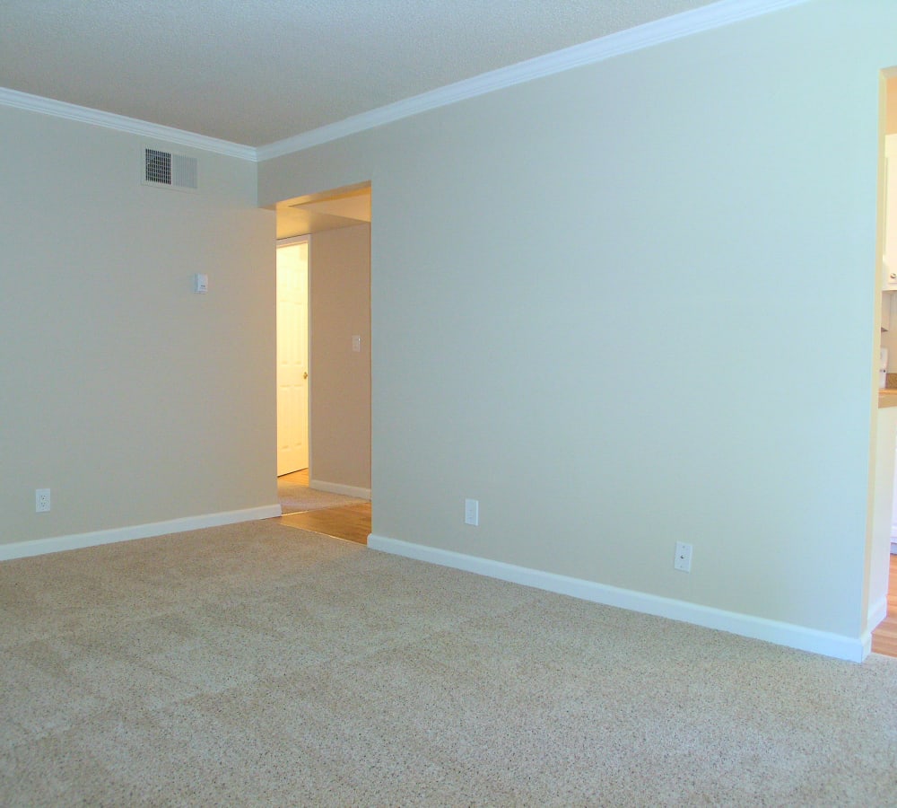 A spacious living room with plush carpeting at Villa Palms Apartment Homes in Livermore, California