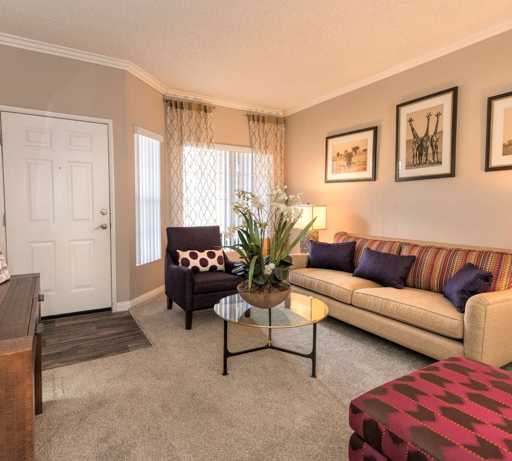 Large living room with plush carpeting at Paloma Summit Condominium Rentals in Foothill Ranch, California