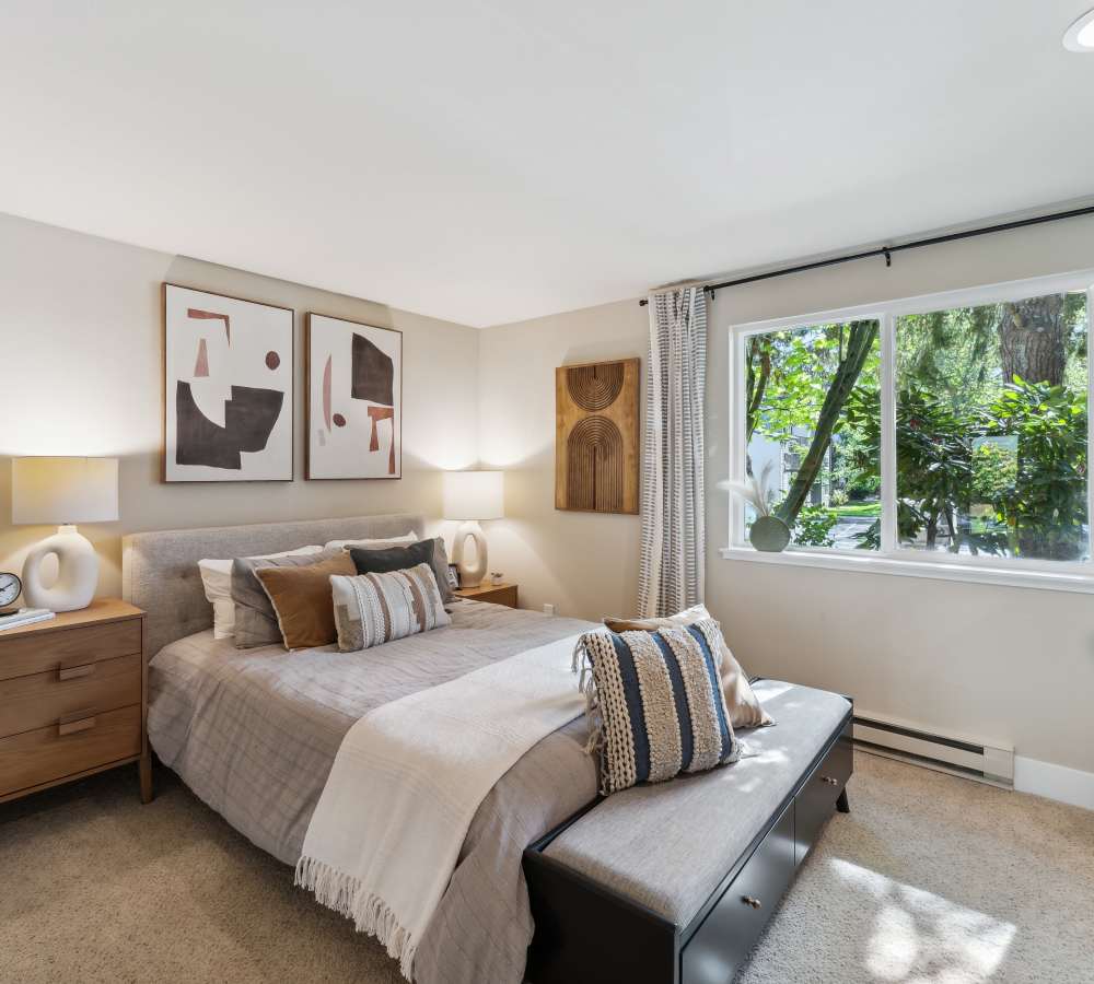 Comfortable and modern decor in a model bedroom with plush carpeting at Madison Sammamish Apartments in Sammamish, Washington