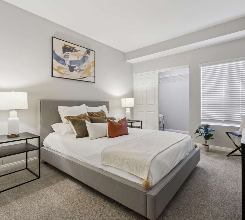 Large main bedroom with plush carpeting at Paloma Summit Condominium Rentals in Foothill Ranch, California