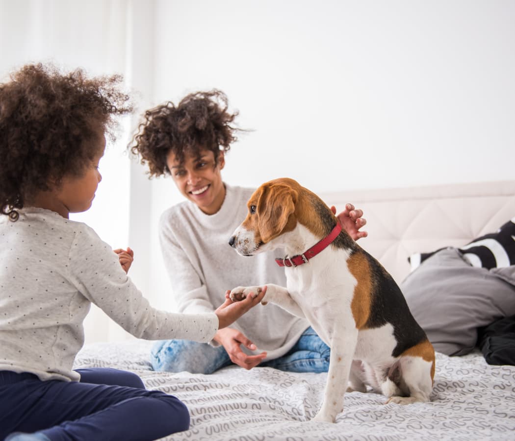Waterview on the Parkway offers pet friendly apartments that are great for entertaining in Thornton, Colorado