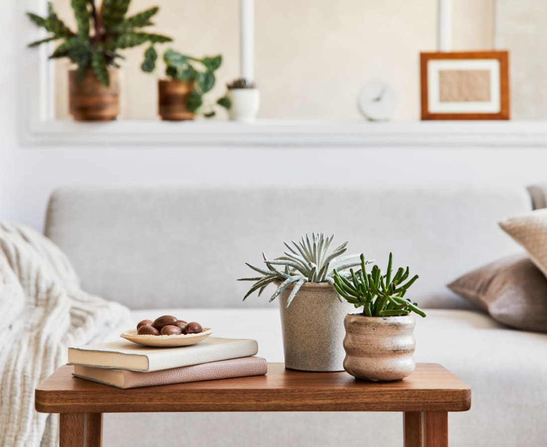 Modern furnishings in a model home's living space at Cypress Creek at South Cedar in Temple, Texas