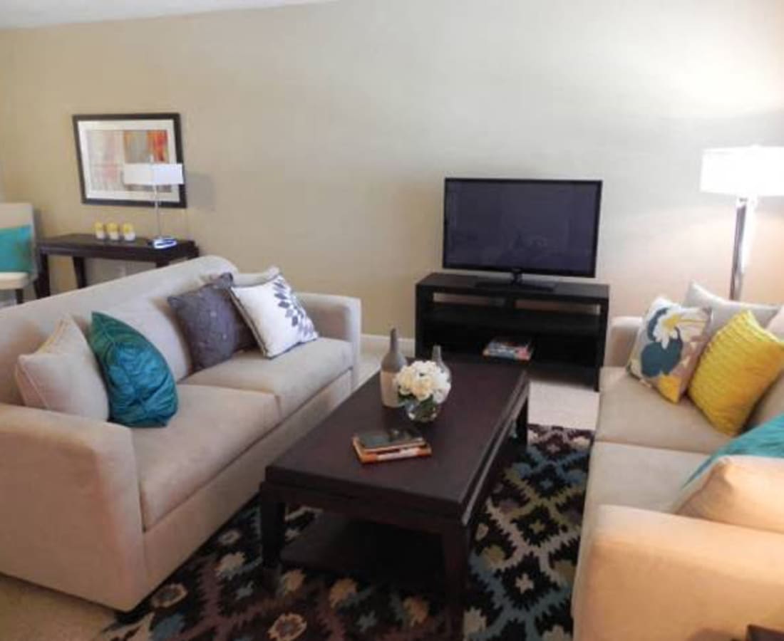 Model living room with an area rug at DaVinci Apartments in Davis, California