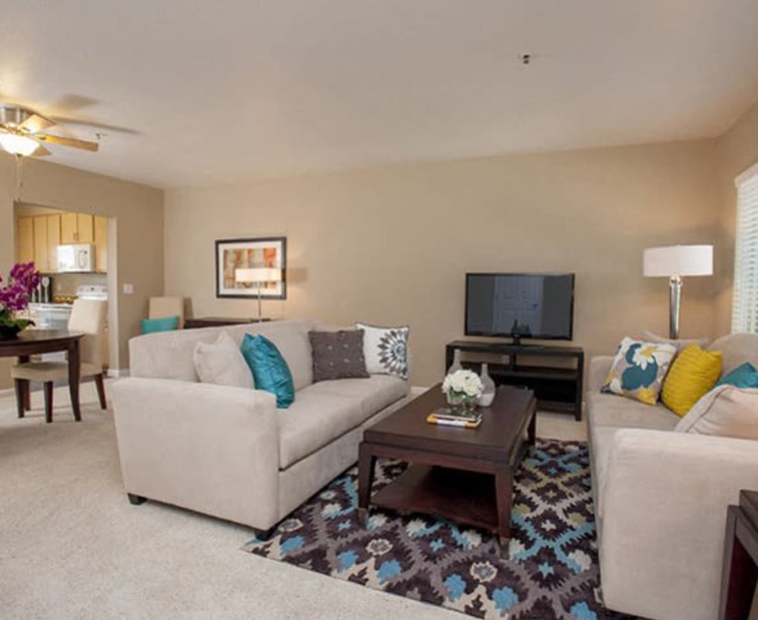 Modern living room with TV at DaVinci Apartments in Davis, California