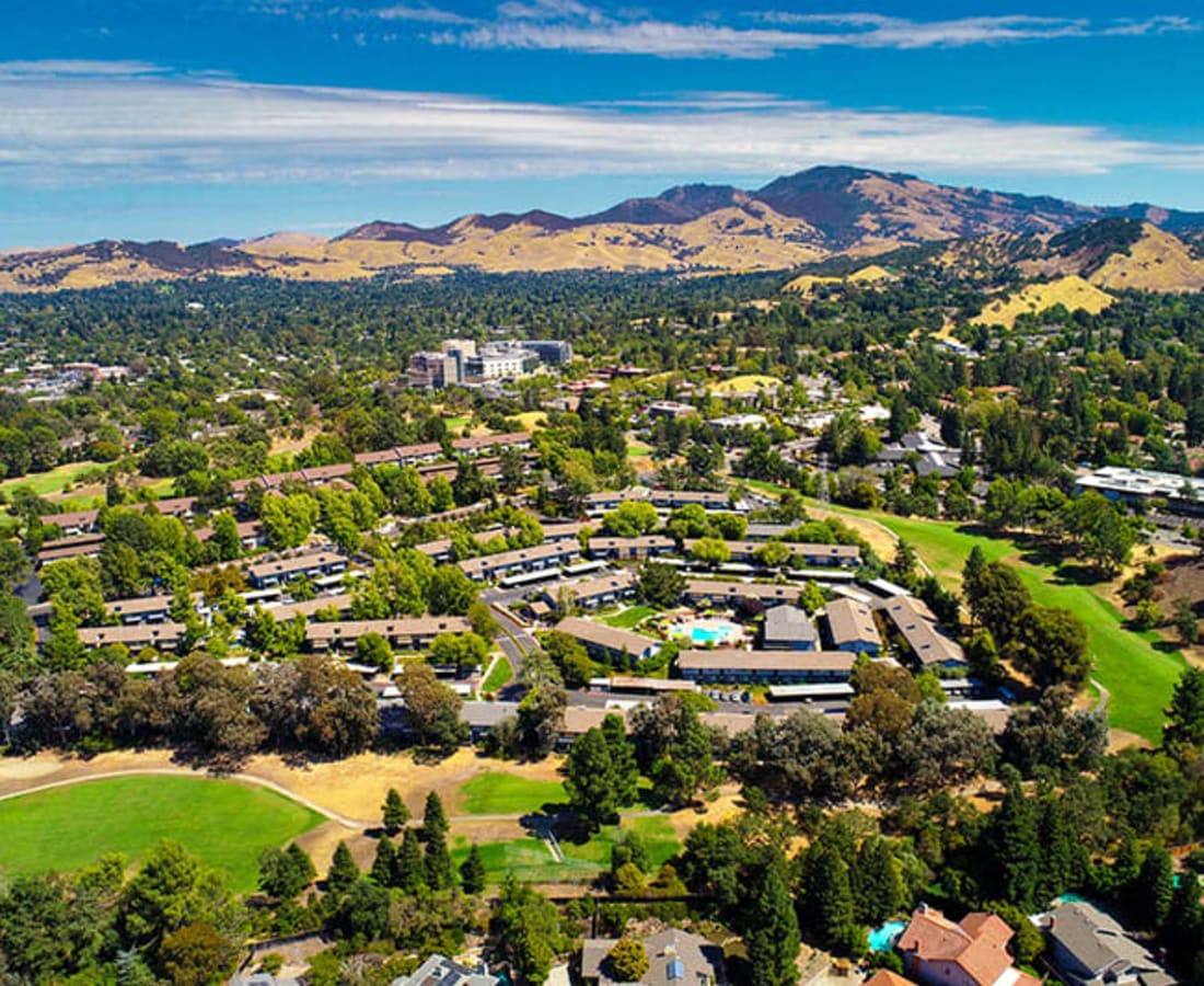 Aerial view of the community at Stoneridge Luxury in Walnut Creek, California