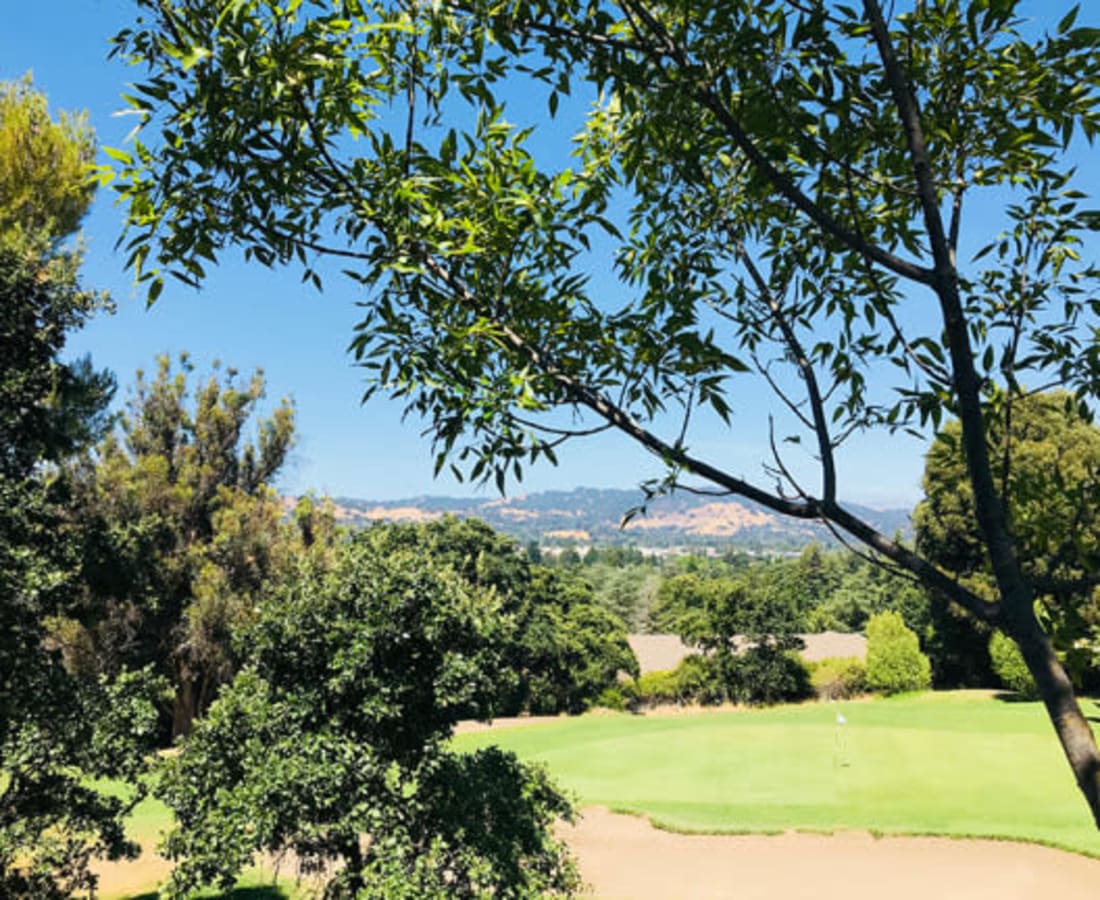 Beautiful green view from Stoneridge Luxury in Walnut Creek, California