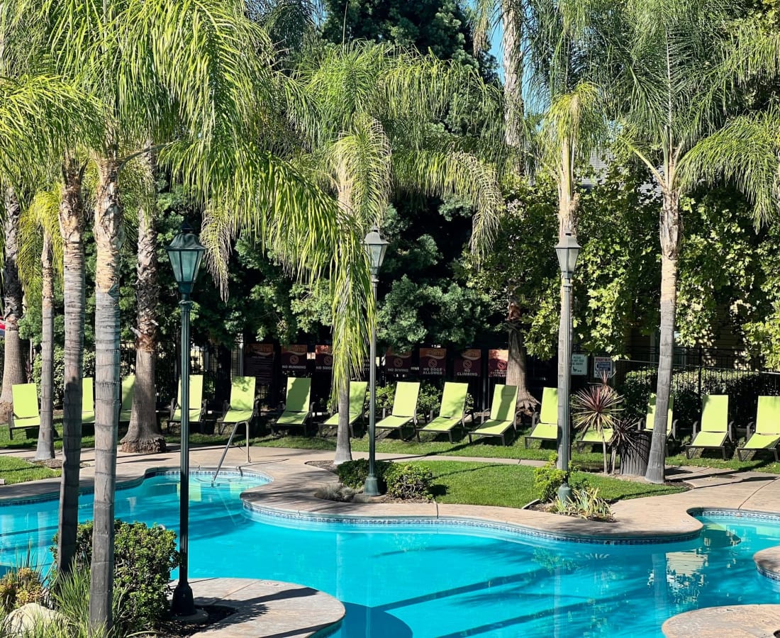 Enjoying sun bathing under the palm trees beside the pool