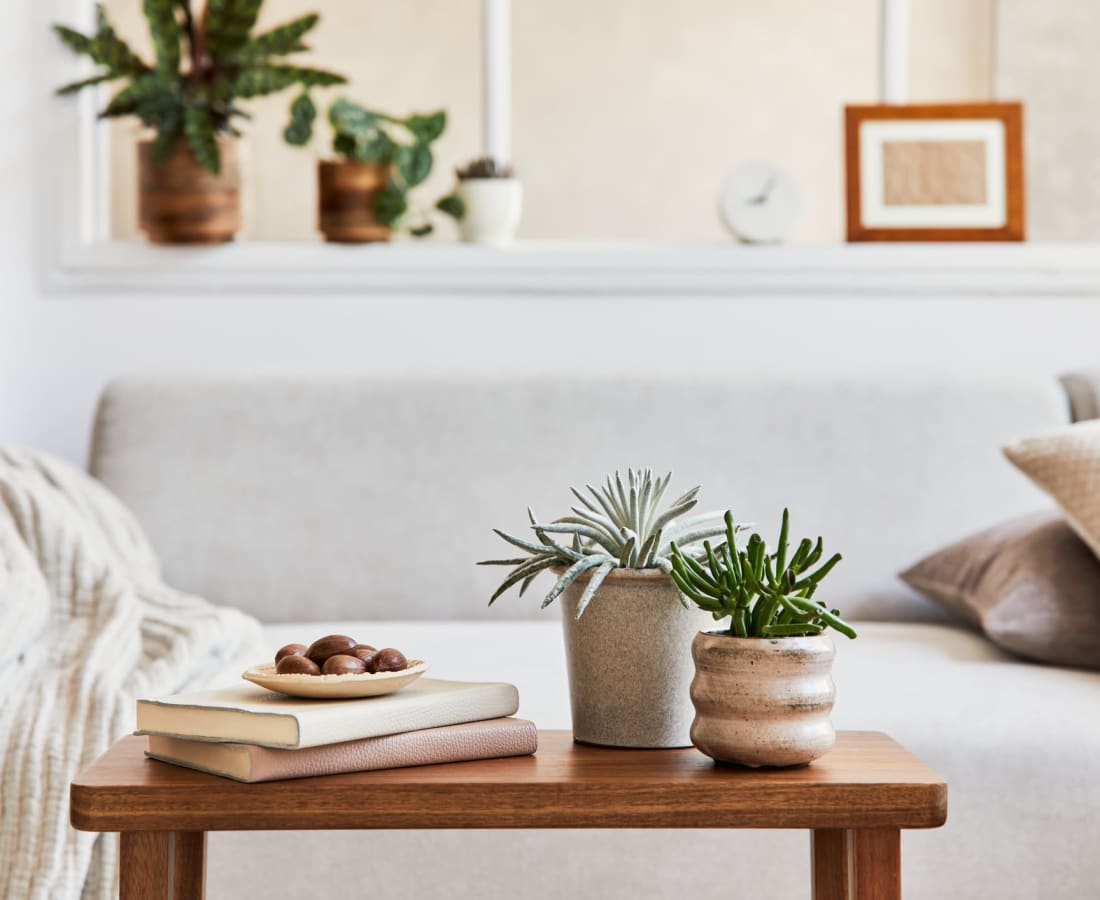 Plants and books on a small coffee table in front of the couch in a model apartment at Sterling Pointe Apartments in Davis, California