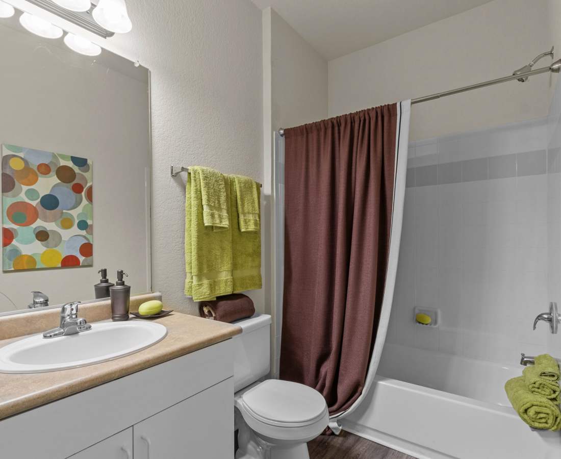 Bathroom with vanity at Preserve at Steele Creek in Charlotte, North Carolina