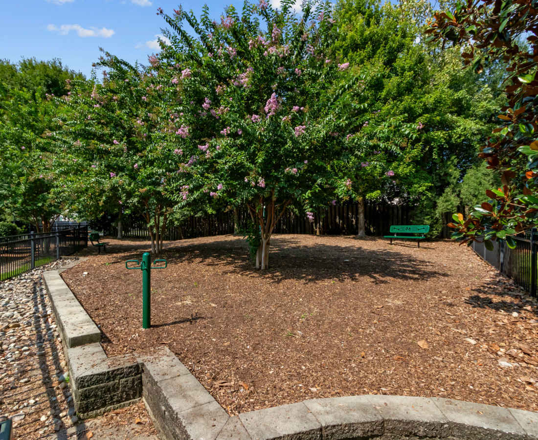 Outdoor area at Preserve at Steele Creek in Charlotte, North Carolina
