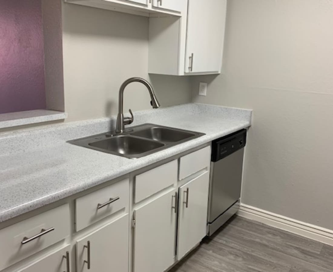 Kitchen with stainless-steel sink and dishwasher at 544 Southern Apartments in Mesa, Arizona