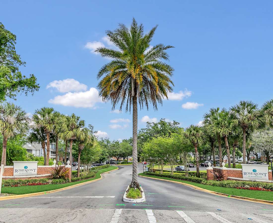 Entrance of the community with full of trees at Rosemont Windermere in Orlando, Florida
