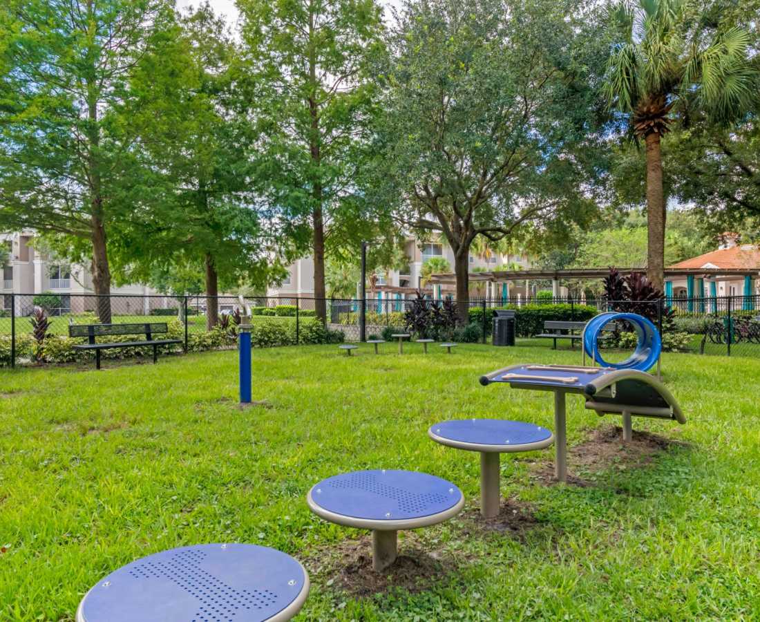 Dog park with dog course kits at The Legends At ChampionsGate in ChampionsGate, Florida