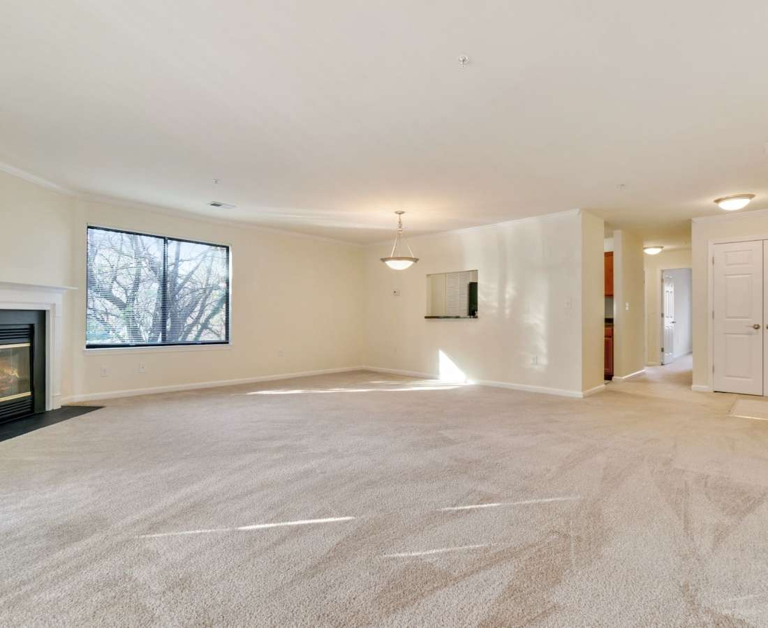 Carpeted living area with large window at Bethesda Hill in Bethesda, Maryland