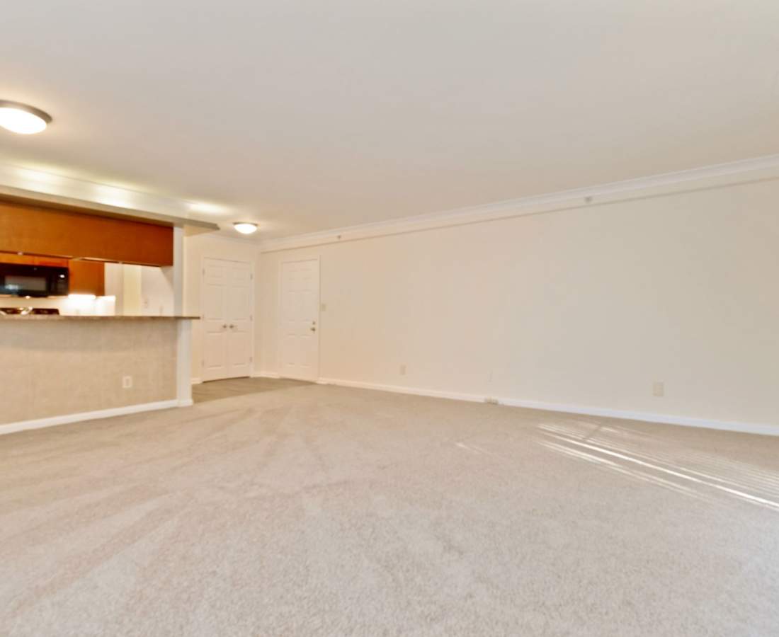 Carpeted living area with kitchen bar at Bethesda Hill in Bethesda, Maryland