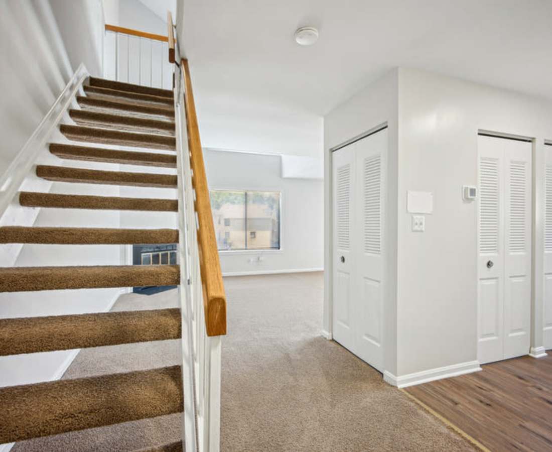 Carpeted stairs leading to an upper level at Bethesda Hill in Bethesda, Maryland