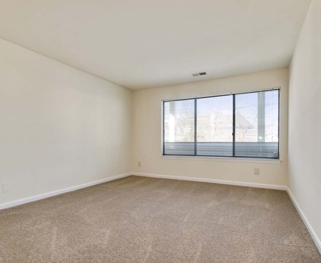 Carpeted floor with large window at Bethesda Hill in Bethesda, Maryland