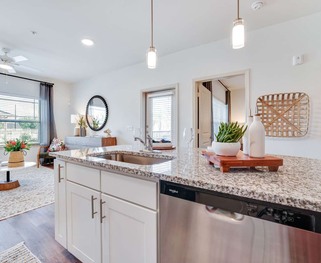 Granite countertops with stainless steel appliances at Meridian City Park in Houston, Texas