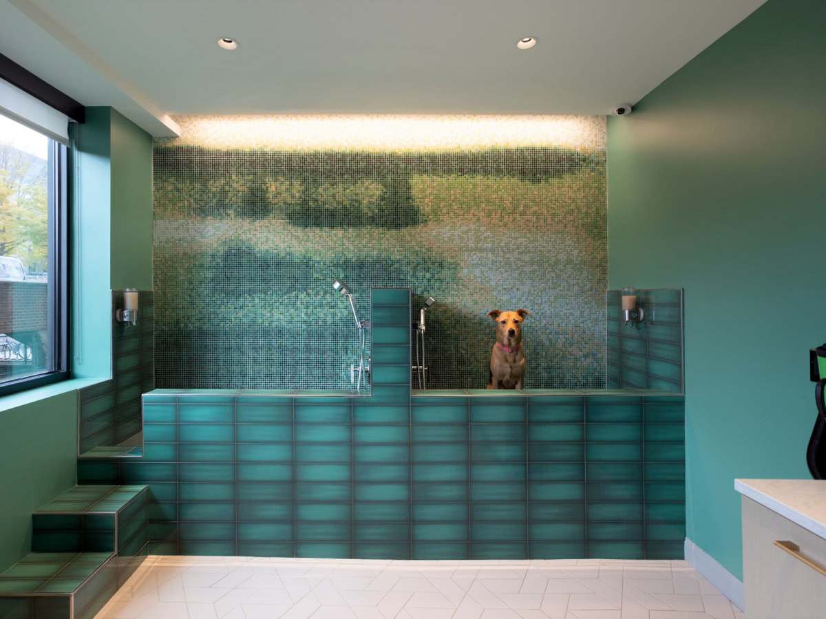 Pet spa at J Vue at The LMA in Boston, Massachusetts