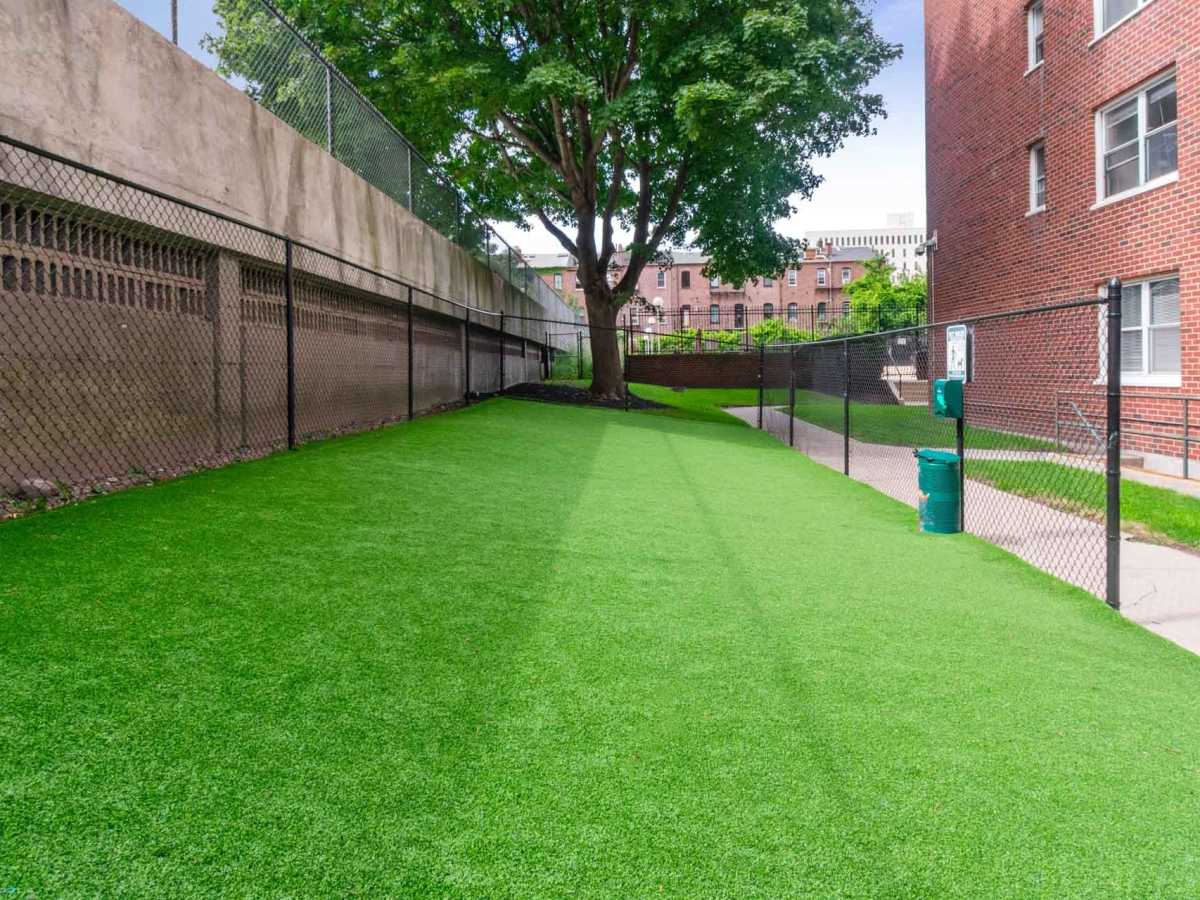 Dog park at J Vue at The LMA in Boston, Massachusetts