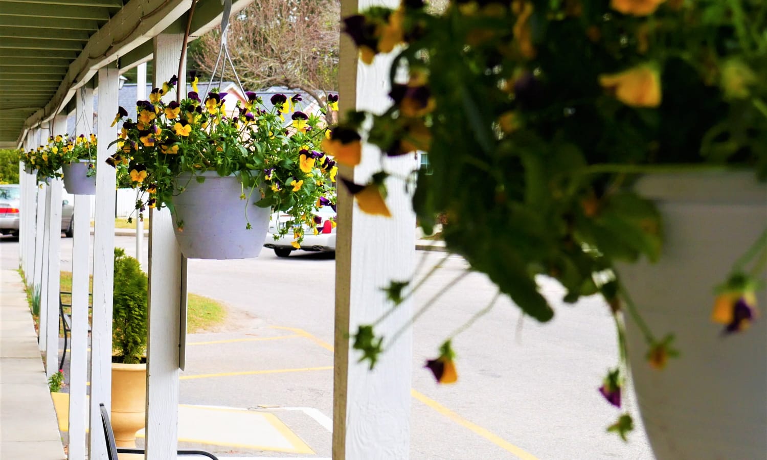 Hanging flower baskets outside at Sandpiper Senior Living in Mt. Pleasant, South Carolina