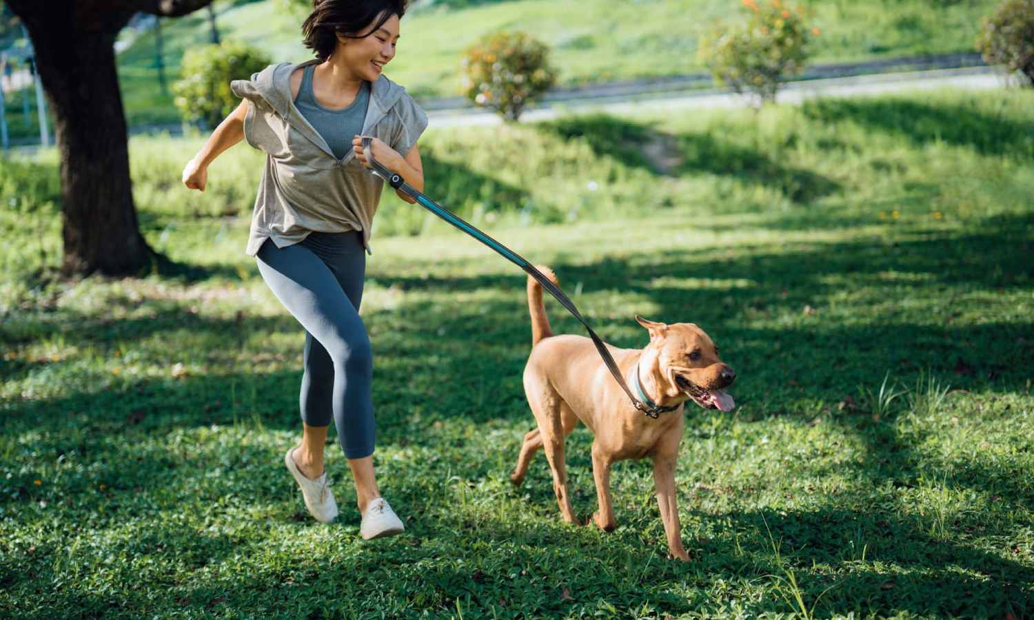  Exclusive Bark Park access at Ava Galleria in Houston, Texas 