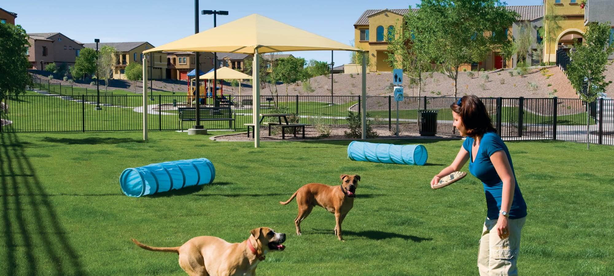 Photos of Ravenwood Heights in Tempe, AZ