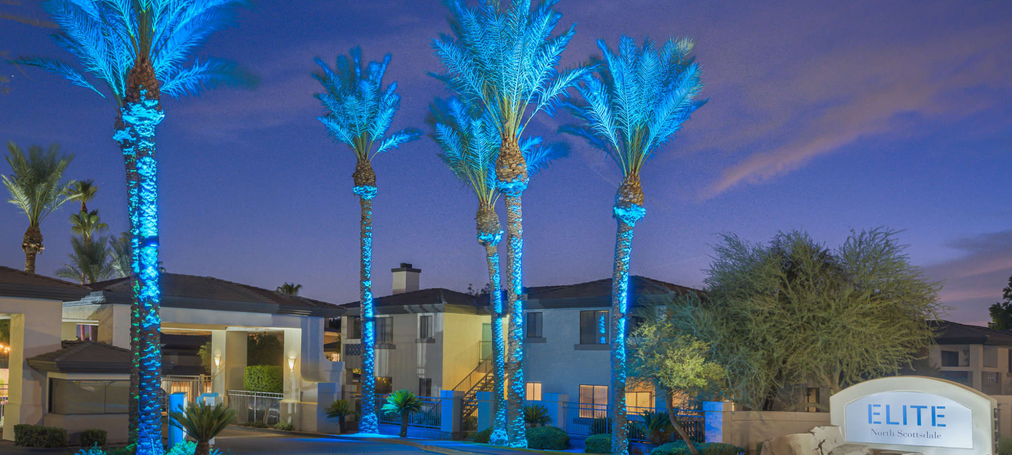 Cool lights on the palm trees at night in front of Elite North Scottsdale in Scottsdale, Arizona