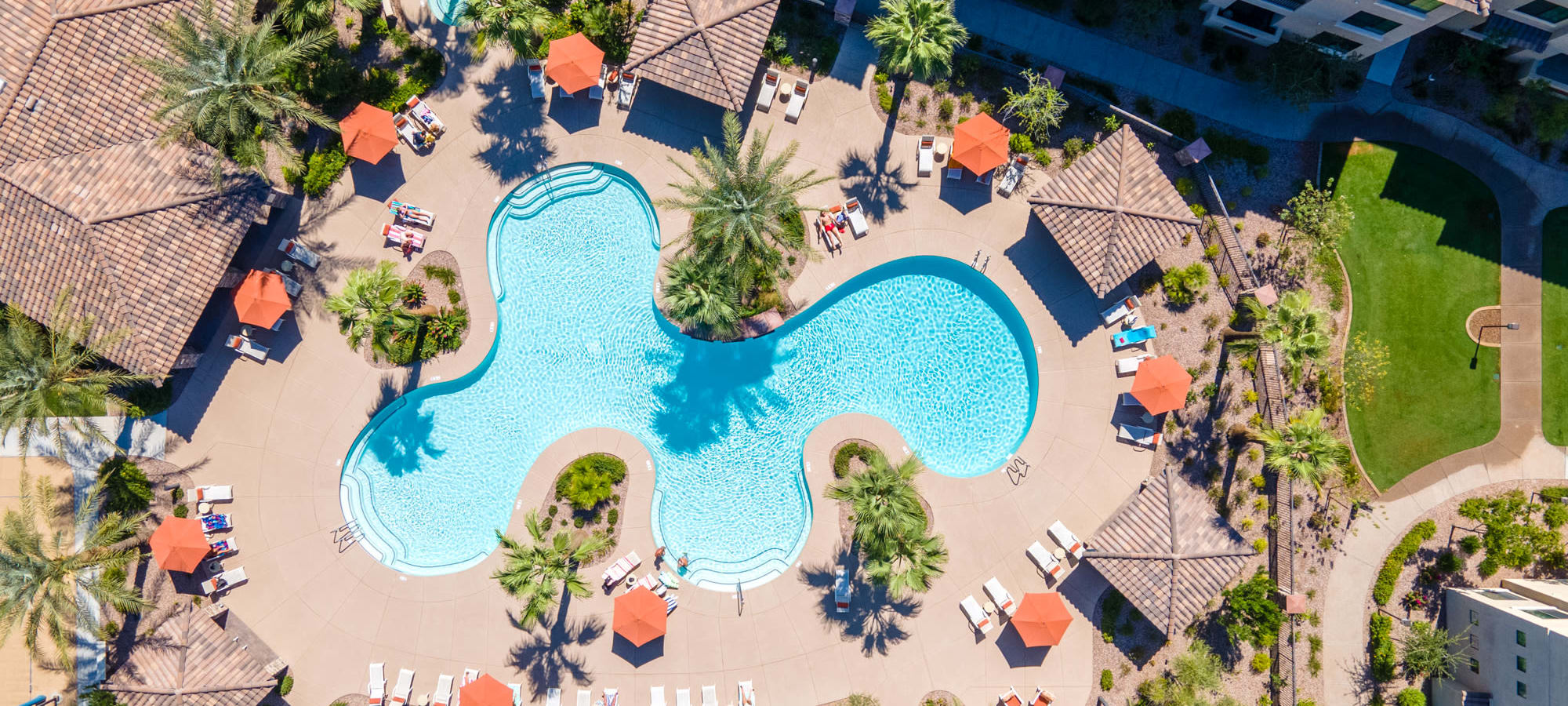 Lush landscape and resort style pool at San Milan in Phoenix, Arizona