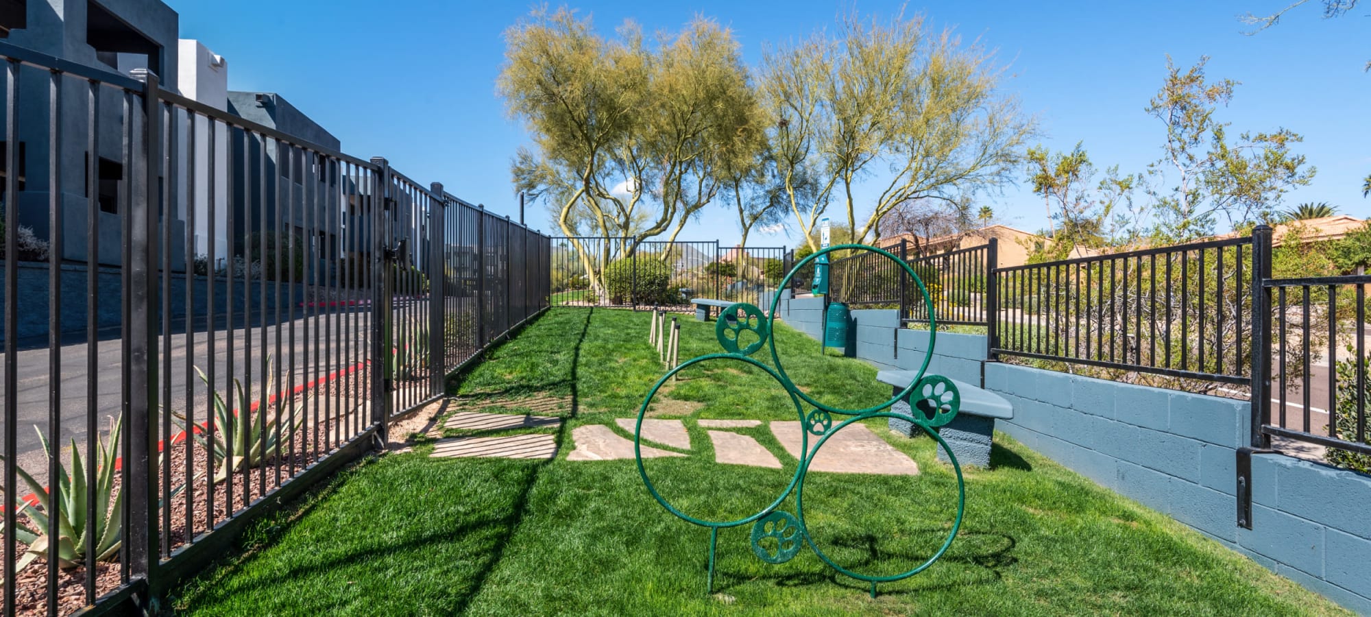 Resident dog park on-site at Luna at Fountain Hills in Fountain Hills, Arizona