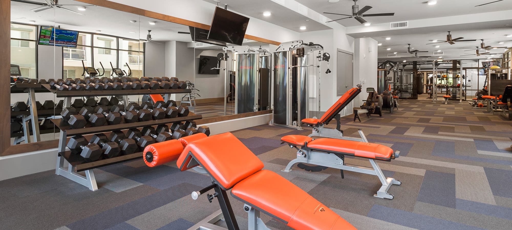 Free-weights and a bench in the fitness center at The Scottsdale Grand in Scottsdale, Arizona