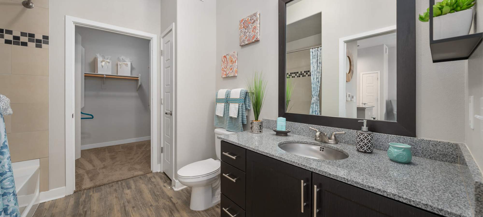 Large bathroom with adjacent walk-in closet in model home at The Hyve in Tempe, Arizona