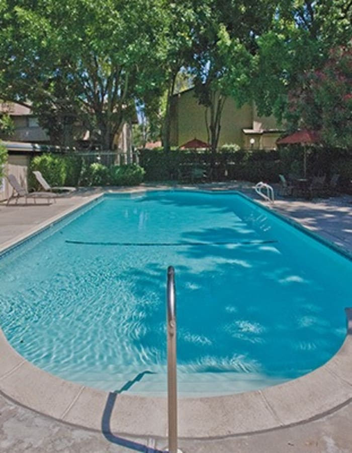 swimming days at Del Prado in Pleasanton, California