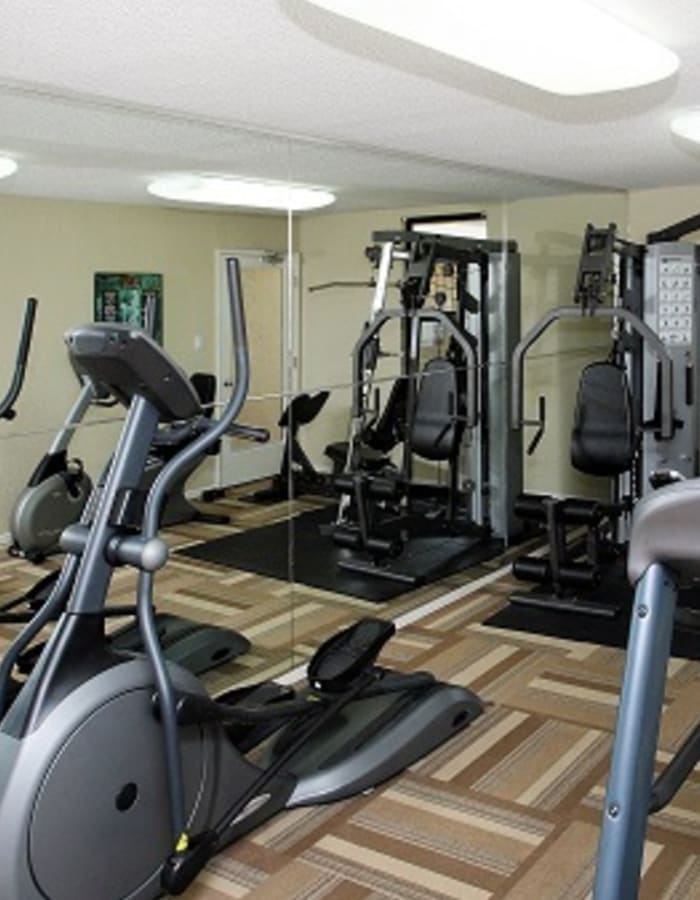 cardio equipment 