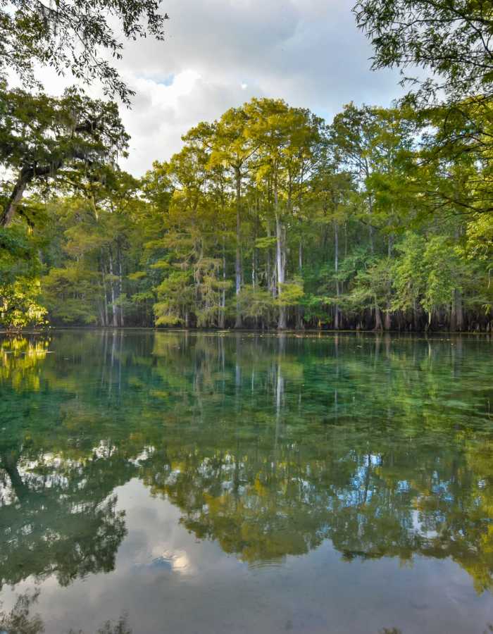 Peaceful Lake