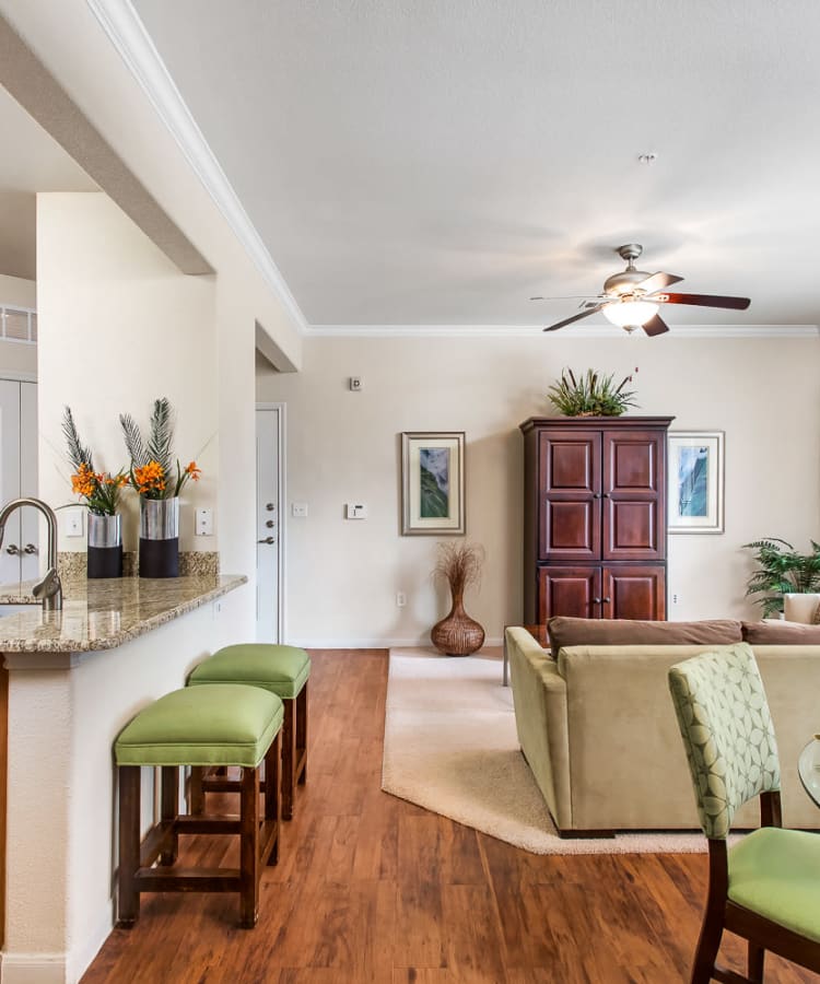Wood-style flooring and black appliances in a kitchen at Onion Creek Luxury Apartments