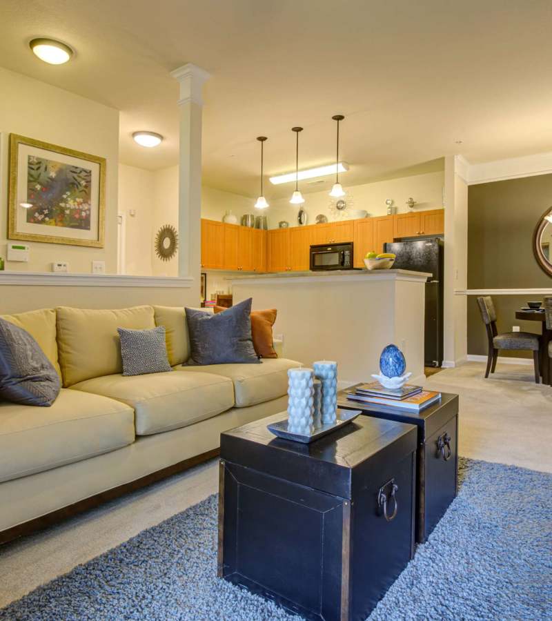 Open living space at Preserve at Steele Creek in Charlotte, North Carolina