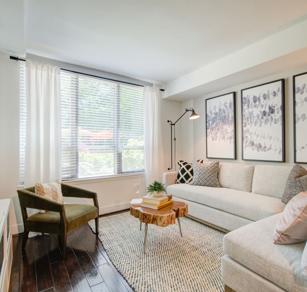 Modern living room with dark wood style flooring and a nice area rug in a model home at Sofi 55 Hundred in Arlington, Virginia